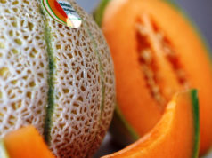 Melone Mantovano IGP Melone Mantovano Igp